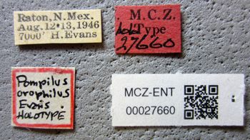 Media type: image;   Entomology 27660 Aspect: labels